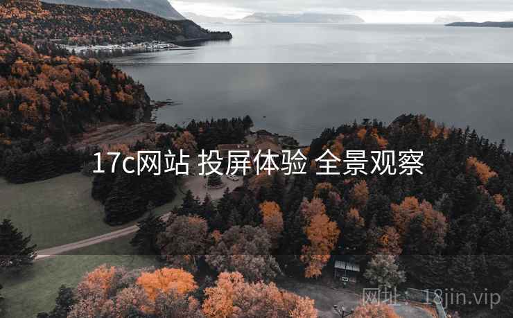17c网站 投屏体验 全景观察