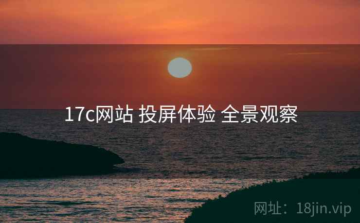 17c网站 投屏体验 全景观察