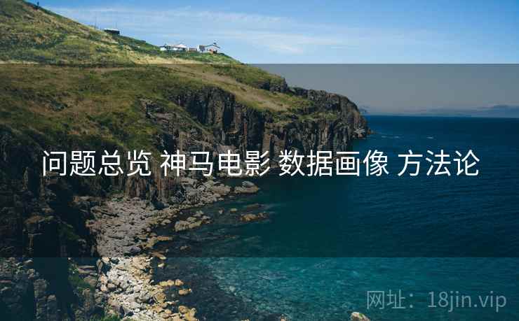 问题总览 神马电影 数据画像 方法论