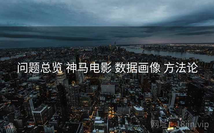 问题总览 神马电影 数据画像 方法论