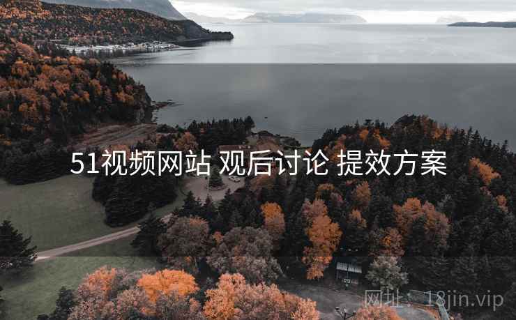 51视频网站 观后讨论 提效方案