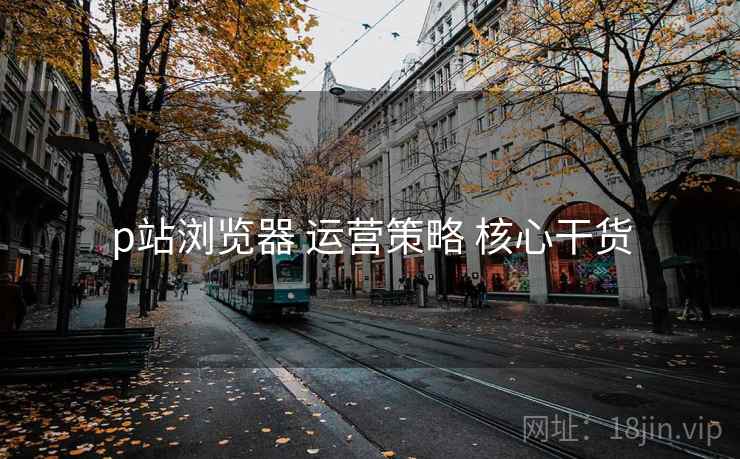 p站浏览器 运营策略 核心干货