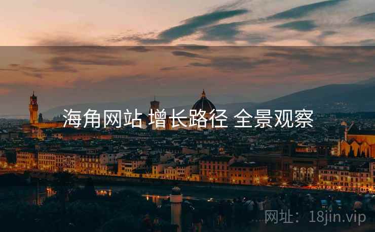 海角网站 增长路径 全景观察