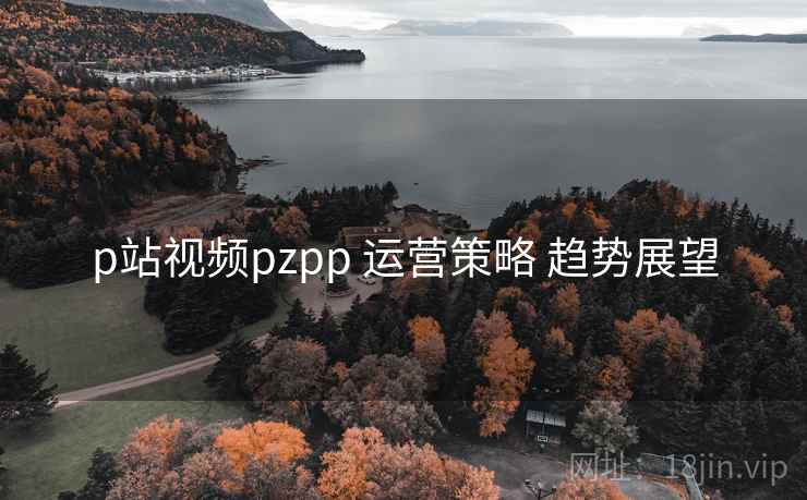 p站视频pzpp 运营策略 趋势展望