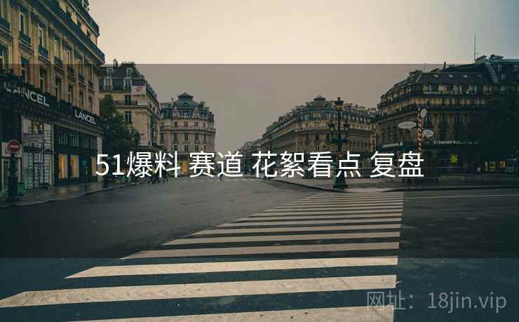 51爆料 赛道 花絮看点 复盘