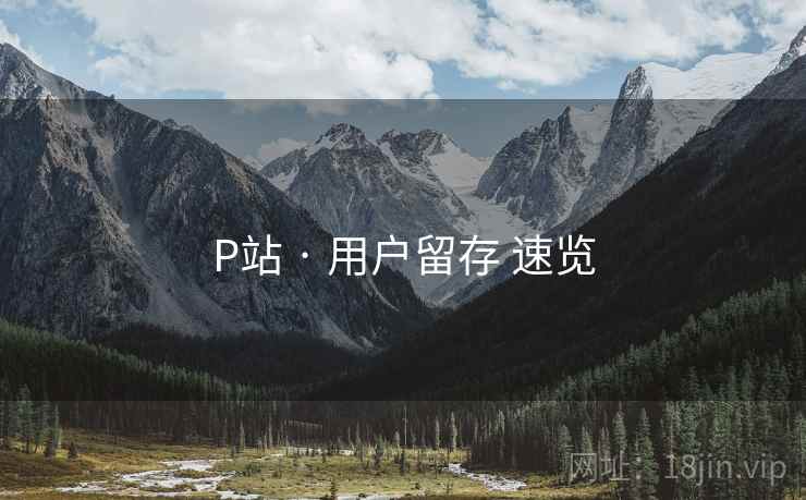 P站 · 用户留存 速览