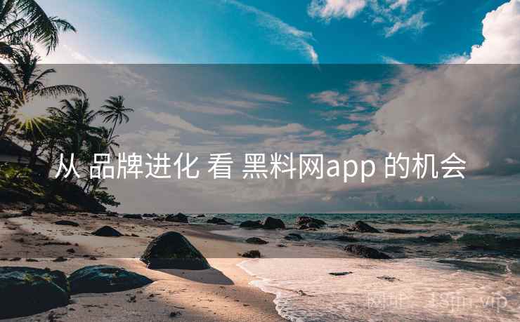 从 品牌进化 看 黑料网app 的机会