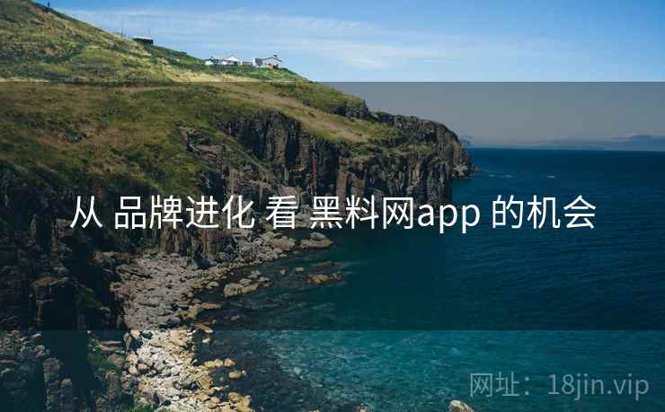 从 品牌进化 看 黑料网app 的机会