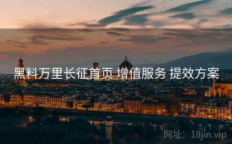 黑料万里长征首页 增值服务 提效方案