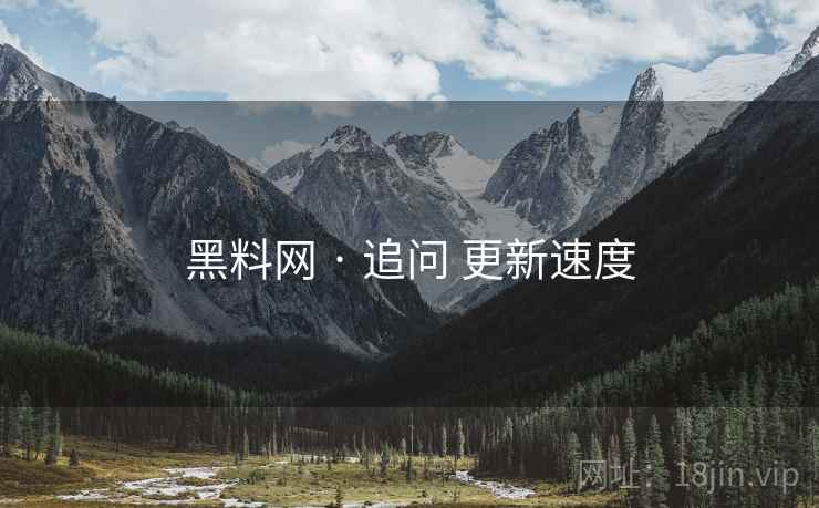 黑料网 · 追问 更新速度