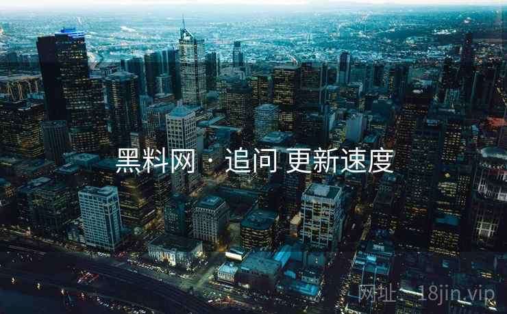 黑料网 · 追问 更新速度
