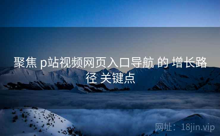 聚焦 p站视频网页入口导航 的 增长路径 关键点