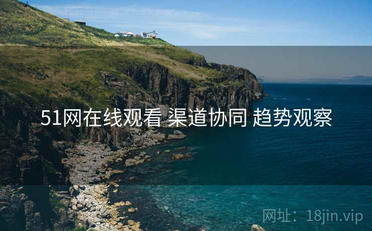 51网在线观看 渠道协同 趋势观察