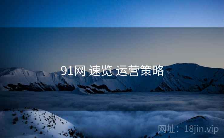 91网 速览 运营策略