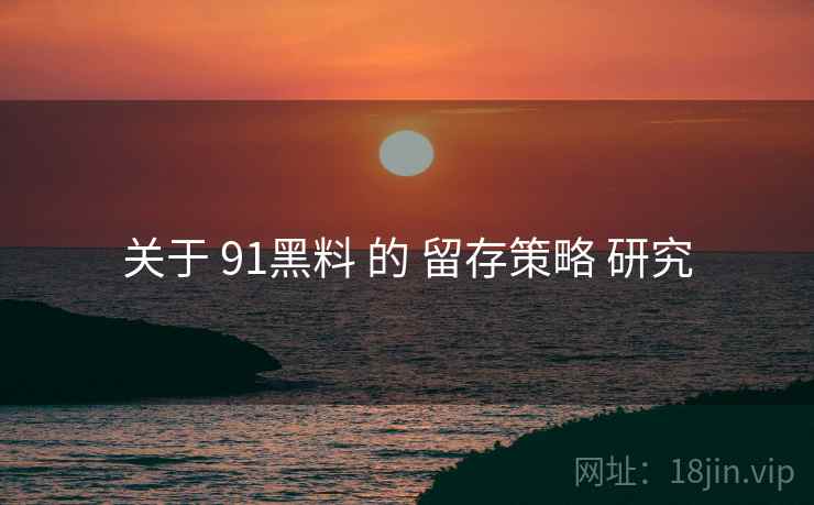 关于 91黑料 的 留存策略 研究