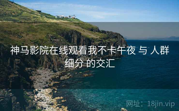 神马影院在线观看我不卡午夜 与 人群细分 的交汇