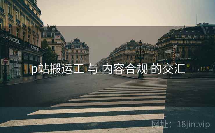 p站搬运工 与 内容合规 的交汇