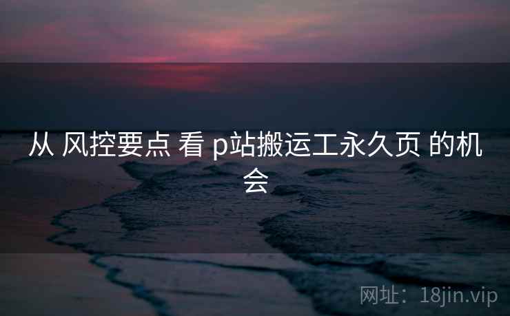 从 风控要点 看 p站搬运工永久页 的机会