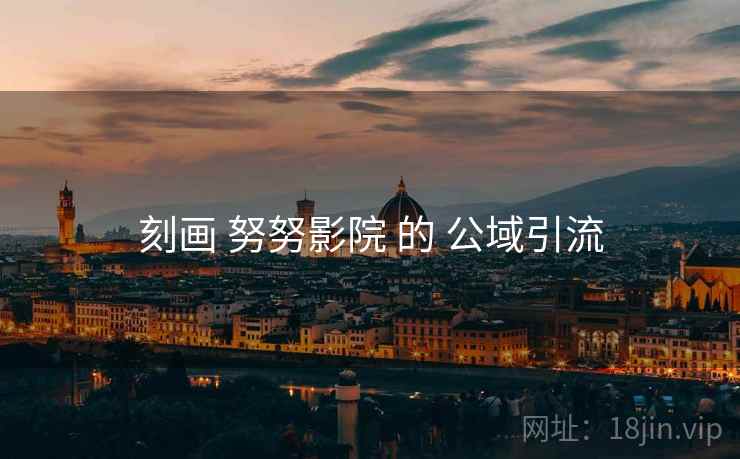 刻画 努努影院 的 公域引流