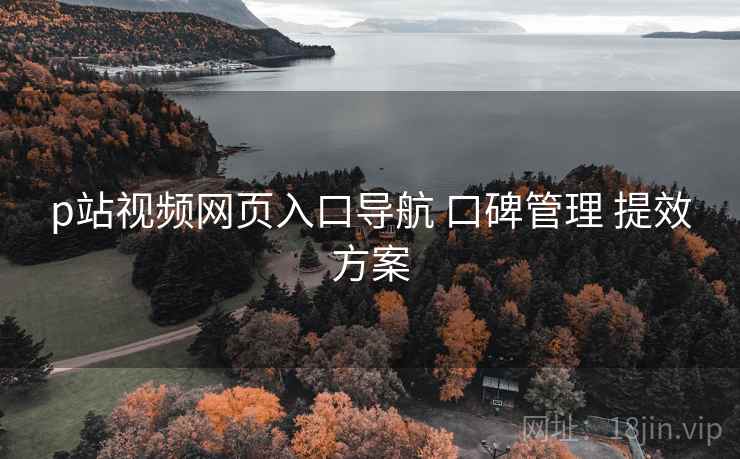 p站视频网页入口导航 口碑管理 提效方案