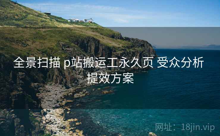 全景扫描 p站搬运工永久页 受众分析 提效方案