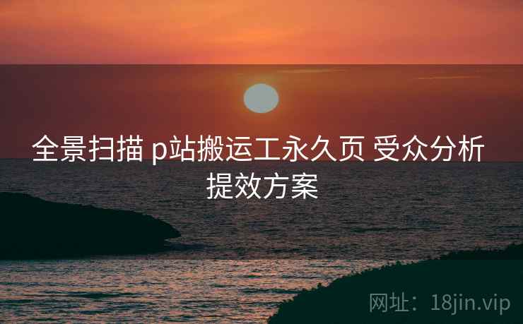全景扫描 p站搬运工永久页 受众分析 提效方案