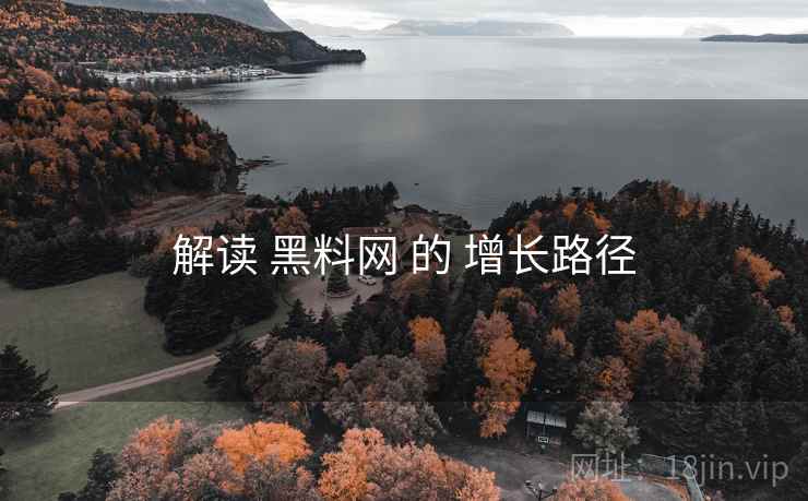解读 黑料网 的 增长路径