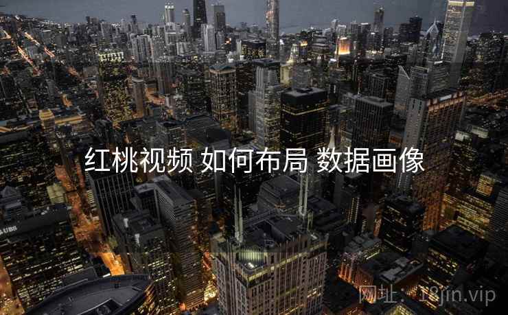 红桃视频 如何布局 数据画像