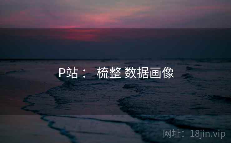P站 ： 梳整 数据画像